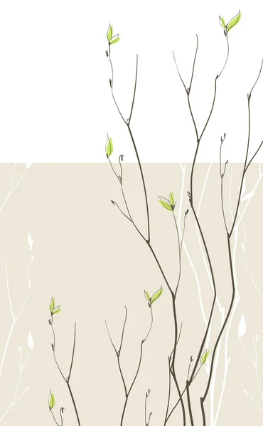 Frühling zerbrechliche Zweige — Stockvektor