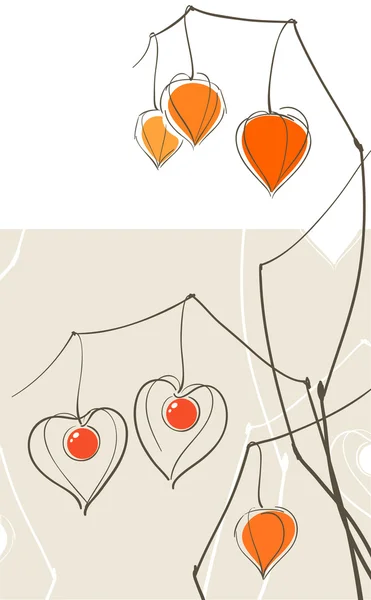 Physalis (chinese lantern) hearts — Stock Vector
