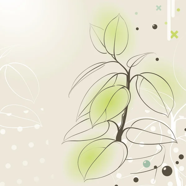 Plante en caoutchouc en pot — Image vectorielle