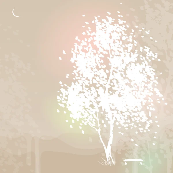 白桦树 — 图库矢量图片
