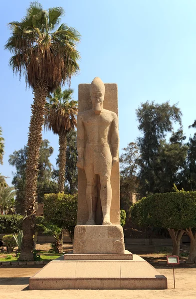 Staty av ramses ii på memphis — Stockfoto