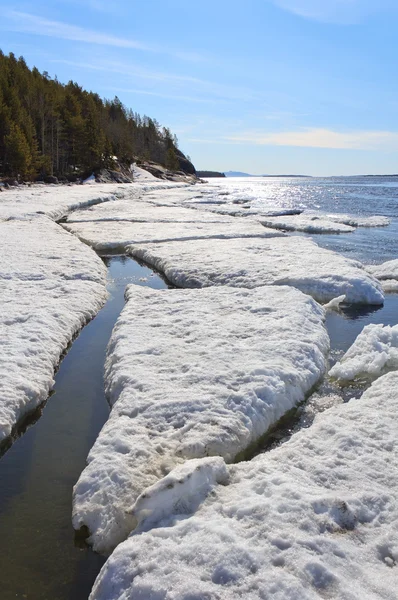 Glace de mer brisée au printemps, Mer Blanche, Russie — Photo