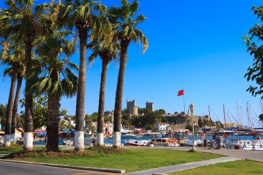 Nice view of the historic Bodrum Castle with palm trees clipart