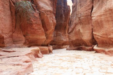 siq - antik kanyonda: petra, jordan