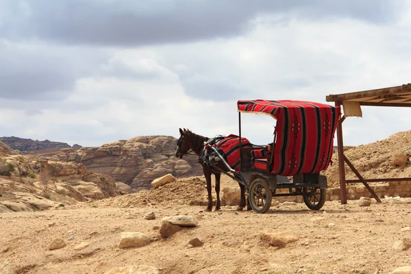 马车在佩特拉，约旦. — 图库照片