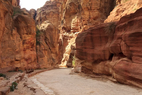 Siq - antik kanyonda: petra, jordan — Stok fotoğraf
