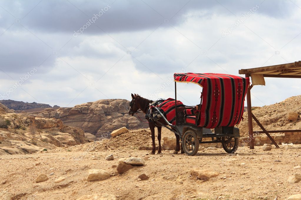 Horse carriage in Petra, Jordan.