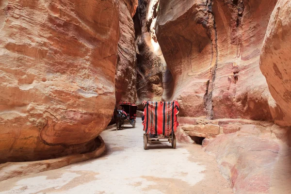 Hästskjuts i siq canyon, petra, Jordanien. — Stockfoto