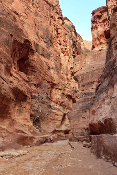 El Siq - antiguo cañón en Petra, Jordania — Foto de Stock