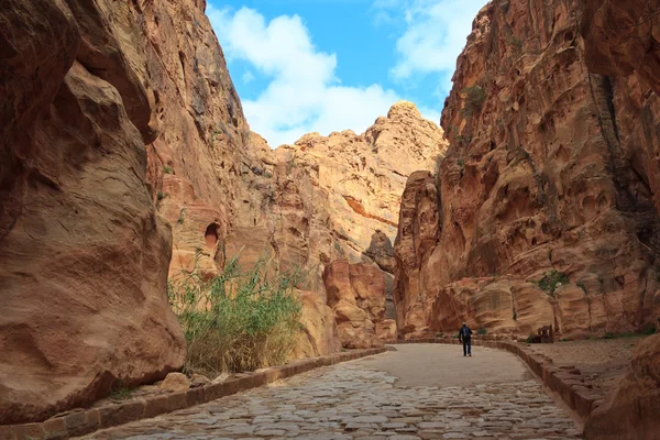 O Siq - antigo desfiladeiro em Petra, Jordânia — Fotografia de Stock