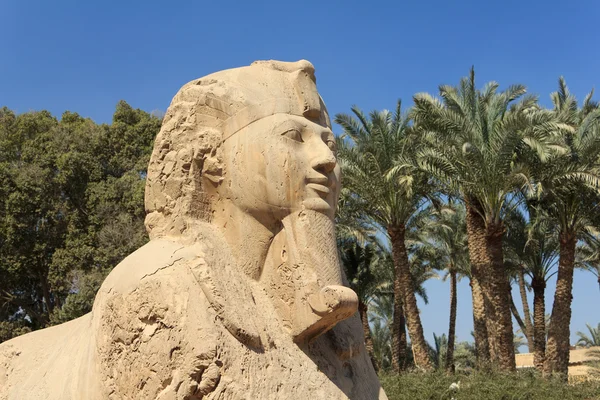 Alabastrová Sfinga memphis (kalcit Sfinga), egypt — Stock fotografie