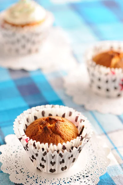 Deliciosos muffins caseiros — Fotografia de Stock