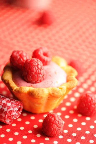 Torta con dessert allo yogurt al lampone — Foto Stock