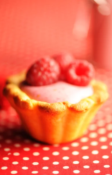 Ciasto z malinowym deserem jogurtowym — Zdjęcie stockowe