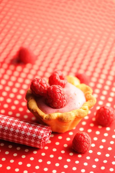 Kuchen mit Himbeer-Joghurt-Dessert — Stockfoto