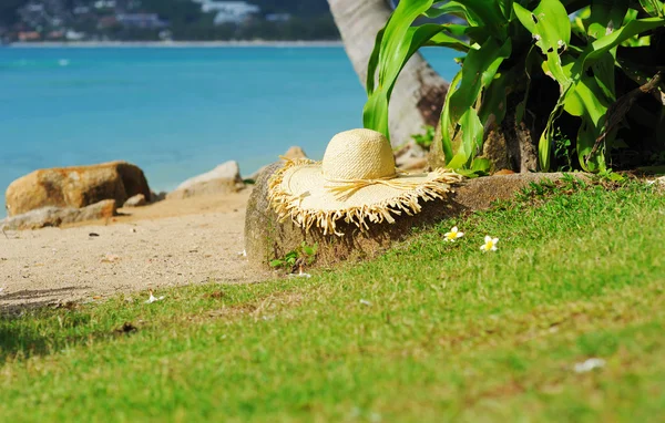Шляпа на пляже — стоковое фото