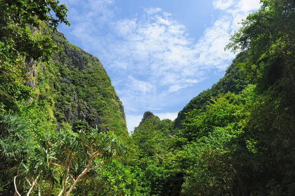 Naturaleza tropical —  Fotos de Stock
