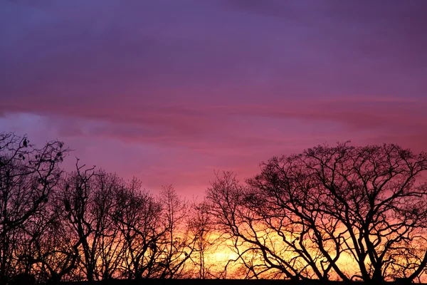 stock image Sunset