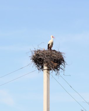 One Stork clipart