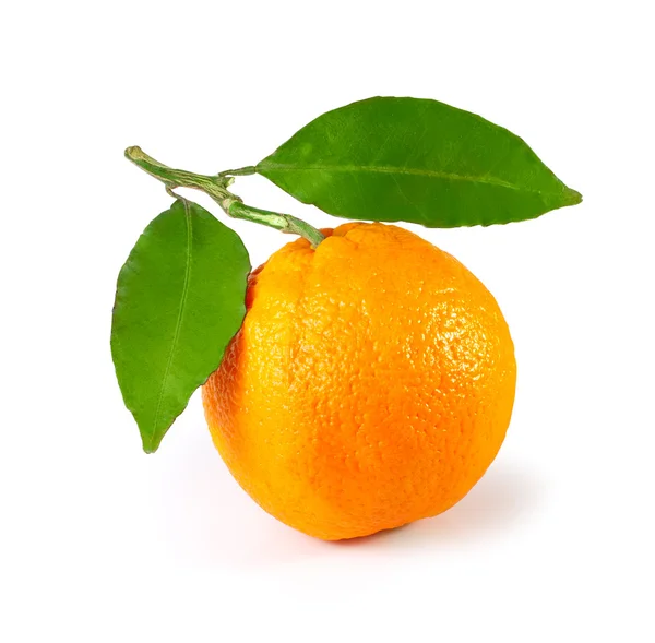 Orangen mit Blättern — Stockfoto