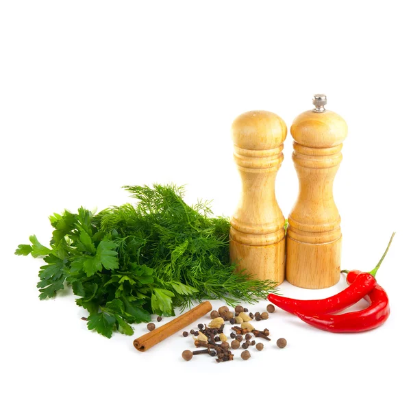 Set of spice — Stock Photo, Image