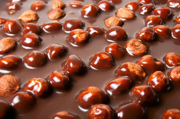 Chocolat et noix — Photo