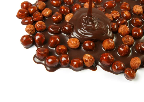 榛子巧克力 — 图库照片