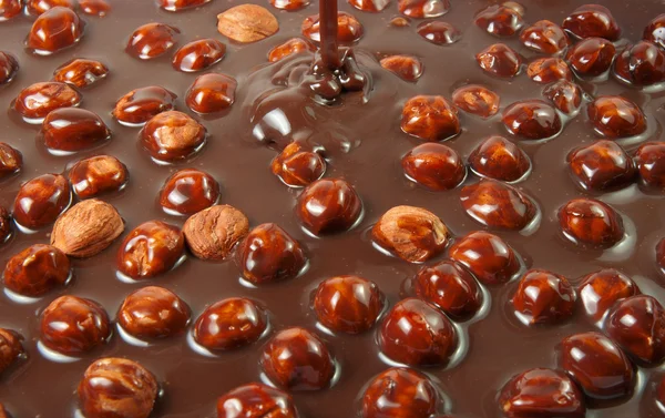 Chocolate de avellana —  Fotos de Stock