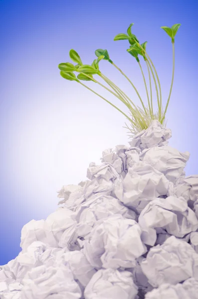 Зеленые саженцы, растущие из бумаги — стоковое фото