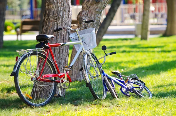 A parkban a kerékpár kerékpár — Stock Fotó