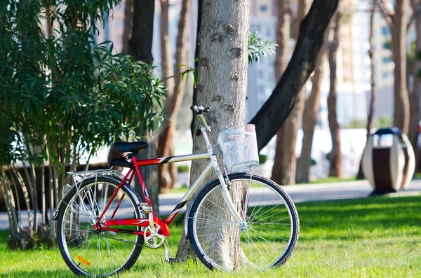 Bicicleta de bicicleta no parque — Fotografia de Stock