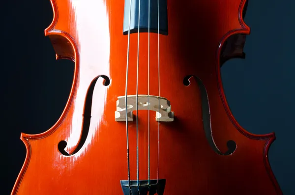 Musik koncept-närbild av cello — Stockfoto