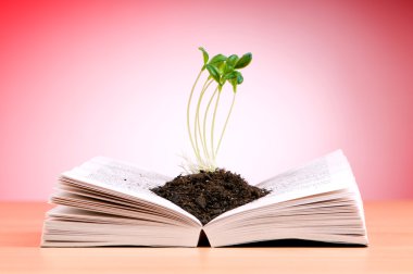 Seedlings growing from book in knowledge concept clipart