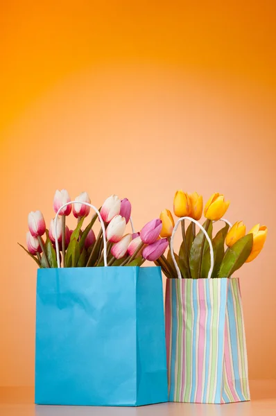 Tulipanes en la bolsa contra el fondo degradado — Foto de Stock