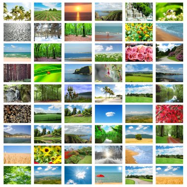 Collage of many nature photos clipart