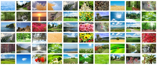 Colagem de muitas fotos da natureza — Fotografia de Stock
