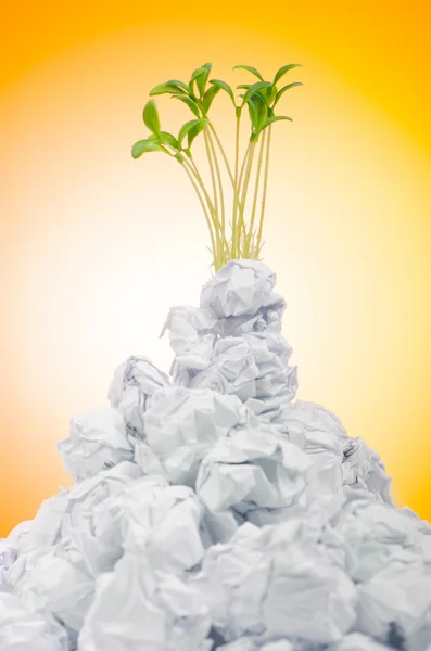 Green seedlings growing out of paper — Stock Photo, Image