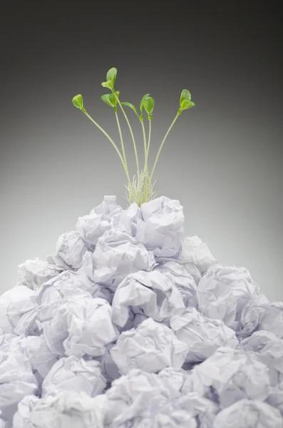 Gröna plantor växer av papper — Stockfoto