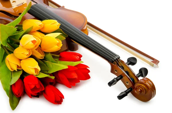 Скрипка и цветы тюльпана на белом — стоковое фото