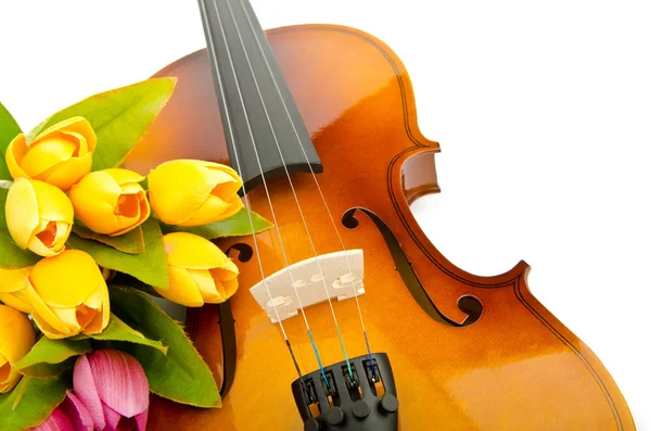 stock image Violin and tulip flowers on white