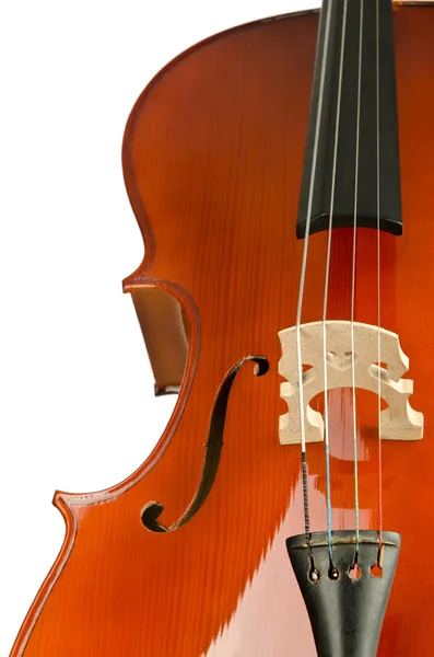 Viola izolovaných na bílém pozadí — Stock fotografie