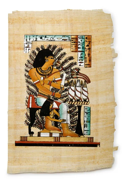 Egyptisk papyrus som bakgrund — Stockfoto