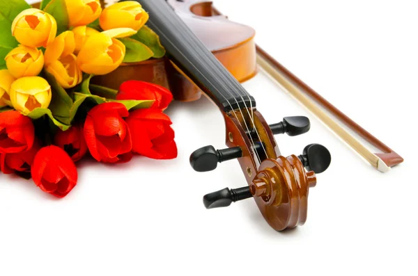 Violin and tulip flowers on white — Stock Photo, Image