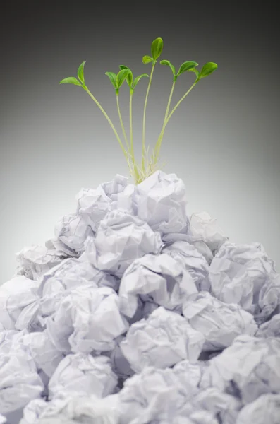 Plántulas verdes que crecen fuera del papel —  Fotos de Stock