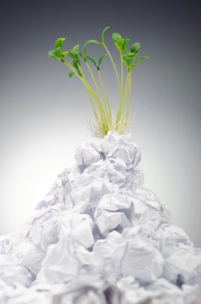 Groene zaailingen groeiende uit paper — Stockfoto