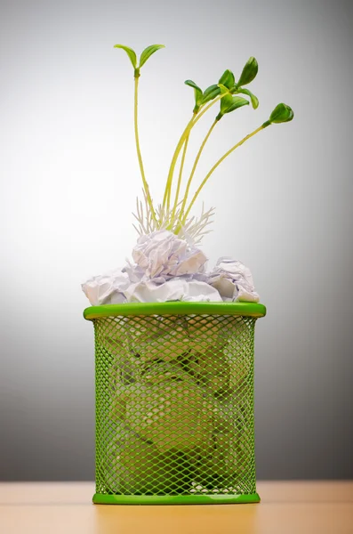 緑の苗は用紙切れの成長 — ストック写真