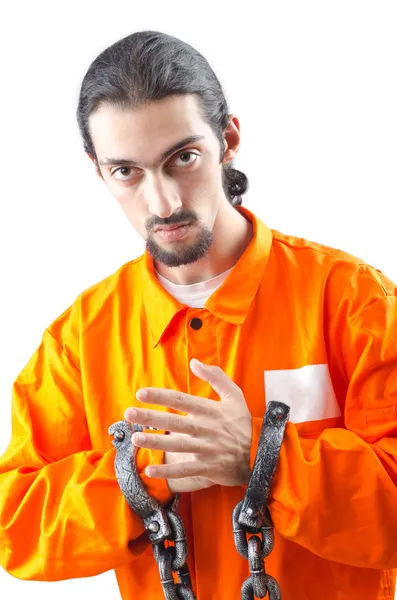 흰색 바탕에 유죄 판결을 받은 범죄자 — 스톡 사진