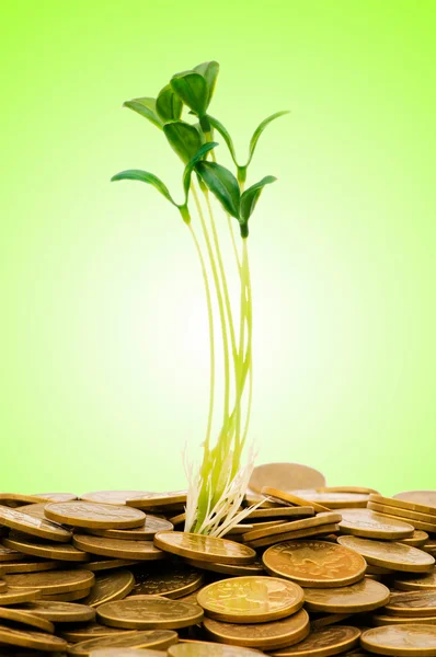 Concept de croissance monétaire avec pièces et semis — Photo