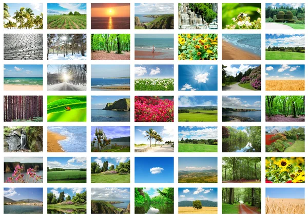 Collage av många naturbilder — Stockfoto