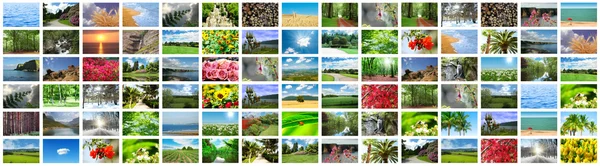 Colagem de muitas fotos da natureza — Fotografia de Stock